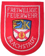 Zur Homepage der FF Brachstadt
