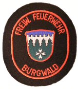 Zur Homepage der FF Burgwald